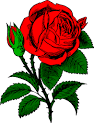 Róża Kwiat Czerwony - Darmowa grafika wektorowa na Pixabay ...