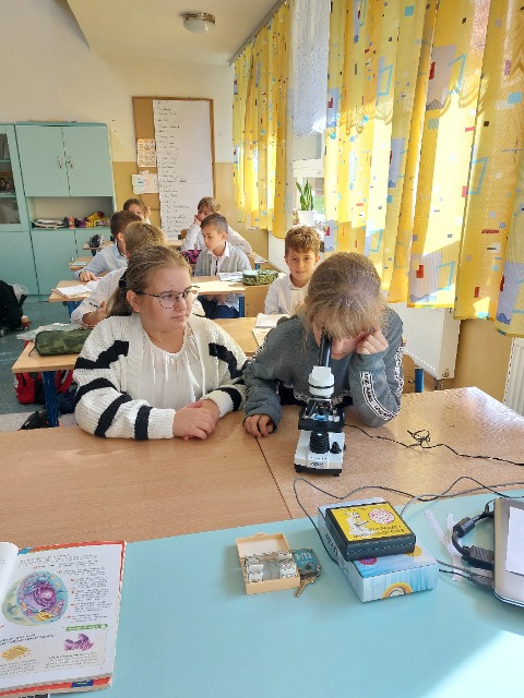 Laboratoria Przyszłości – mikroskop na lekcjach biologii i przyrody - Obrazek 3
