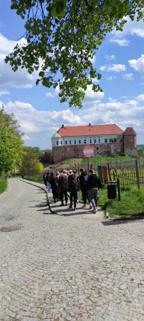 Wycieczka szkolna do Sandomierza z wizytą u sandomierskich rycerzy - Obrazek 5