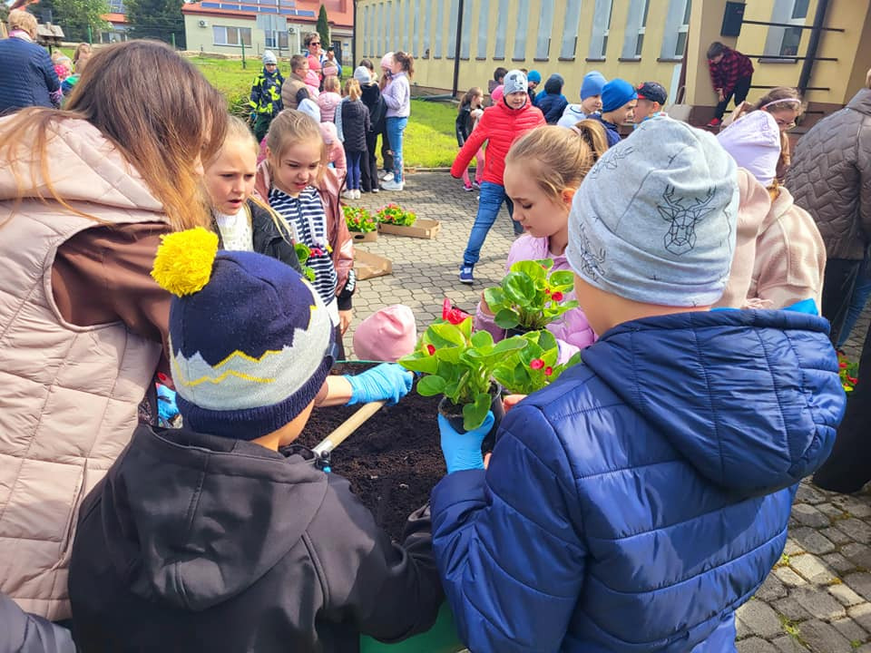 Z okazji Dnia Ziemi uczniowie klas 0-3 zasadzili piękne kwiaty na rabatach przed szkołą:-) - Obrazek 6