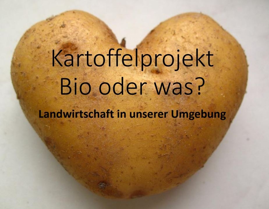 Kartoffelprojekt: Bio oder was? - Bild 1