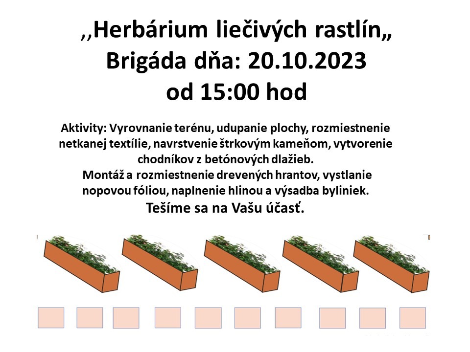 Brigáda MŠ Linzbothova - Herbárium liečivých rastlín  - Obrázok 1