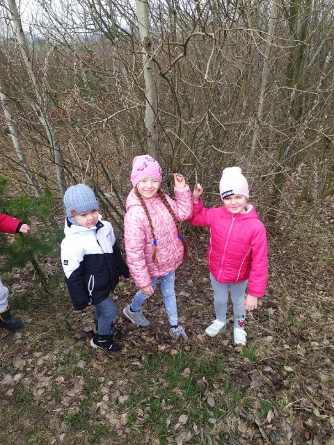 Dnia 21 marca wszystkie przedszkolaki wybrały się na spacer w poszukiwaniu oznak wiosny - Obrazek 3