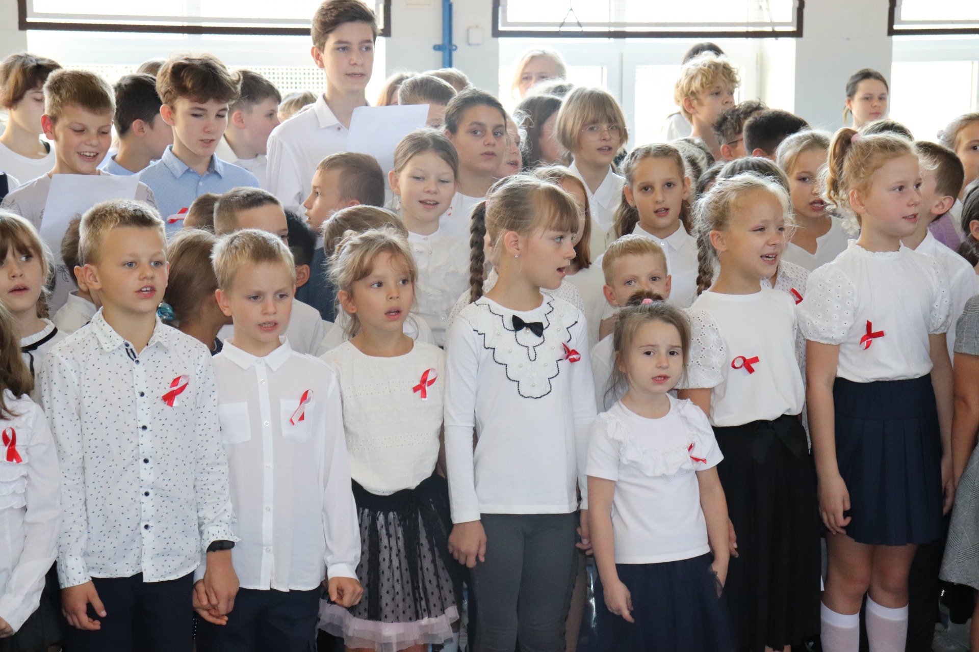 Akcja szkolna upamiętniająca 79. rocznicę zakończenia walk powstańczych na Mokotowie. - Obrazek 5