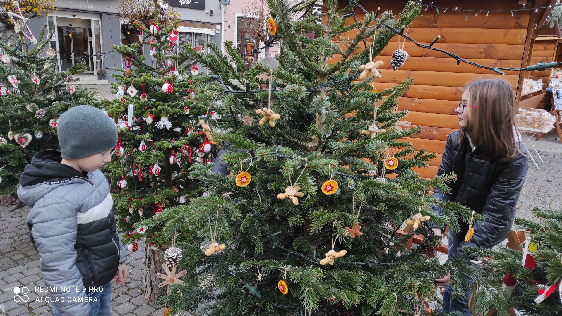 Vianočný stromček - Obrázok 1