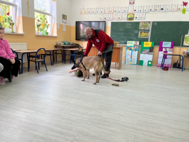 Pies w szkole - jako wspomaganie edukacji i wychowania. - Obrazek 2