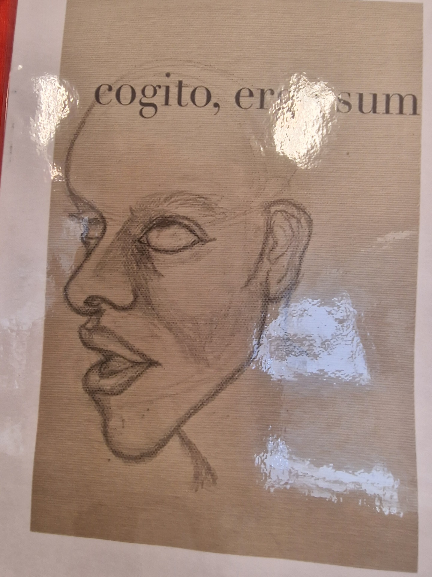 Projekt   "Cogito, ergo sum - Myślę, więc jestem"      - Obrazek 5