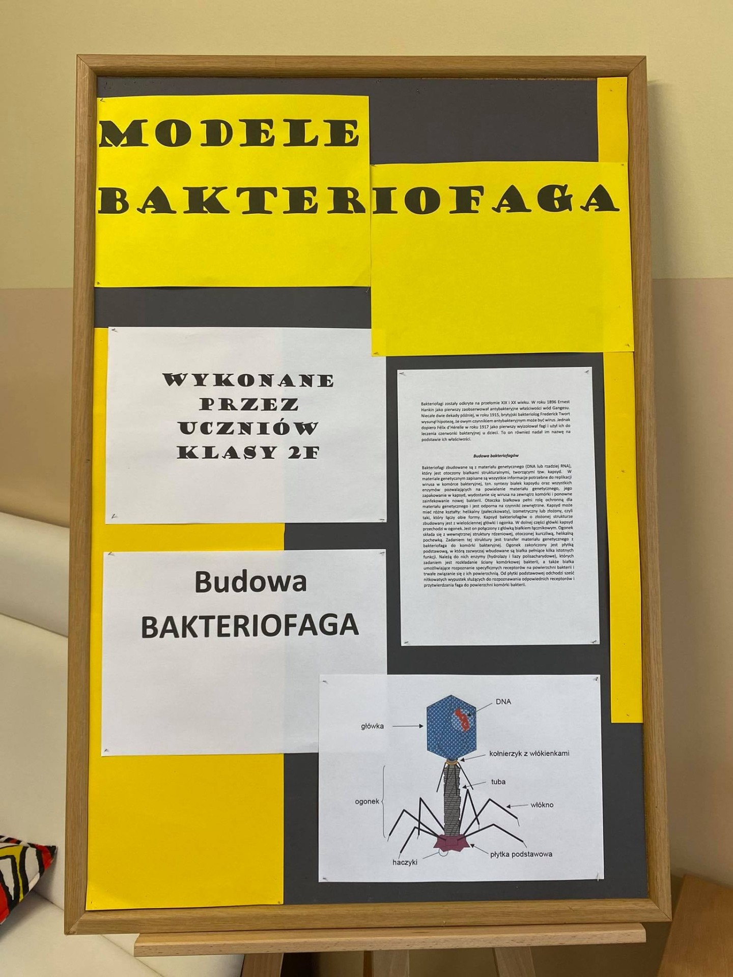 Tablica z informacjami na temat bakteriofagów.