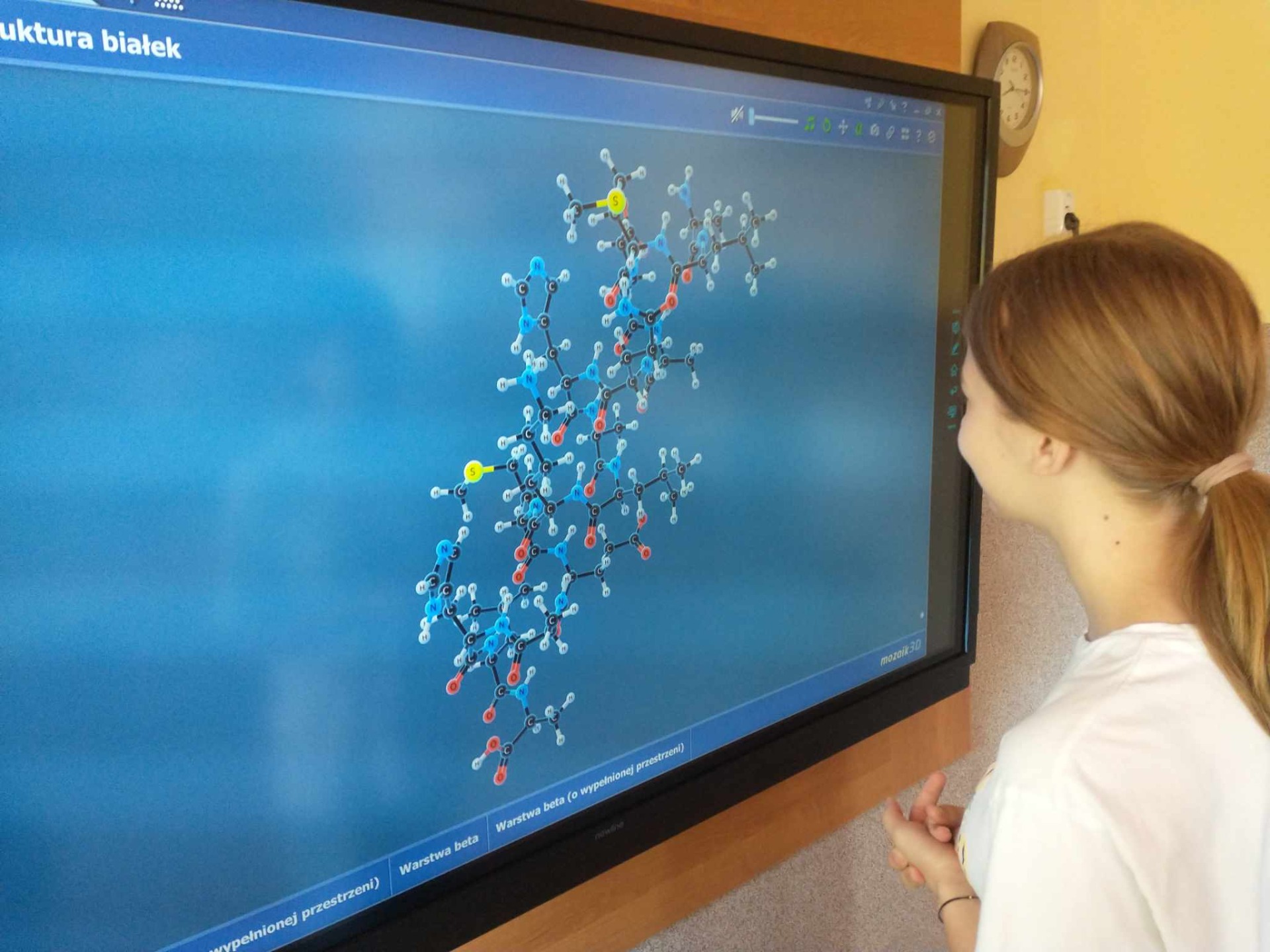 Struktura białka - model 3D wyświetlany na monitorze interaktywnym