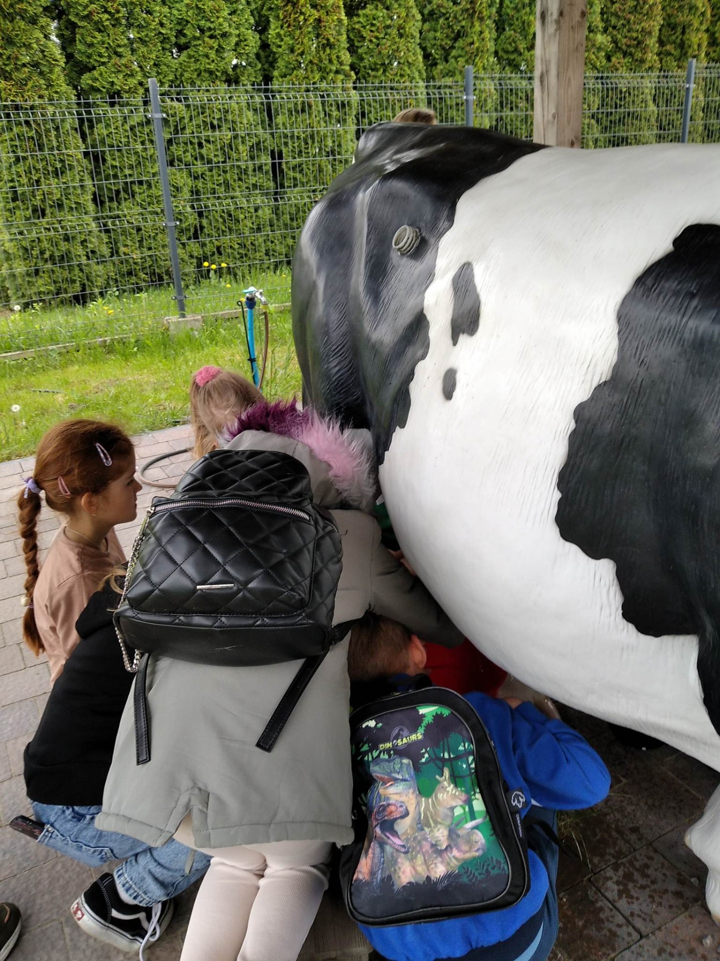Wycieczka do parku żywiołów - dojenie krowy