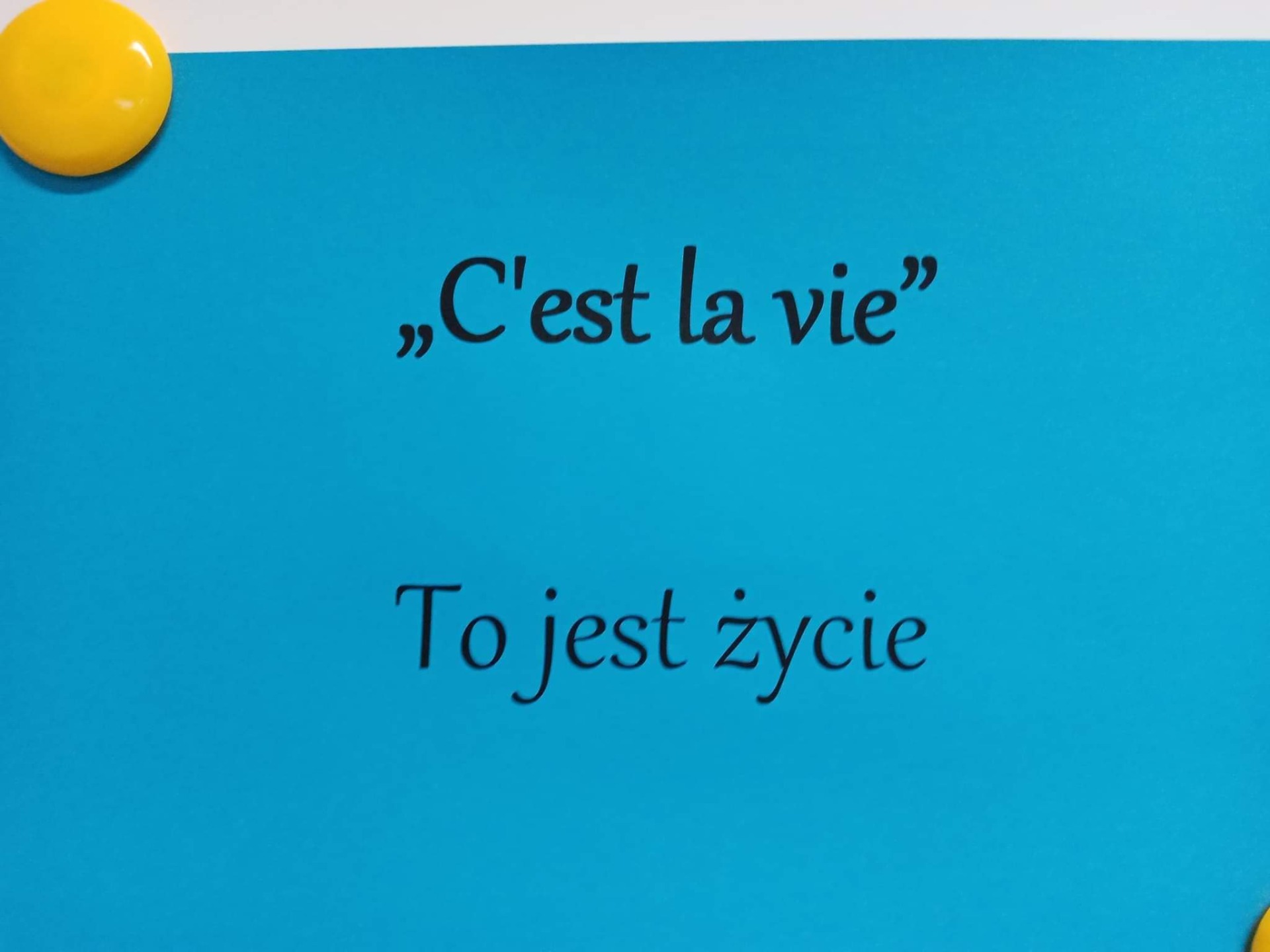 Międzynarodowy Dzień Języków Obcych w klasie 6. ✈️🥐  Francja i język francuski. - Obrazek 5