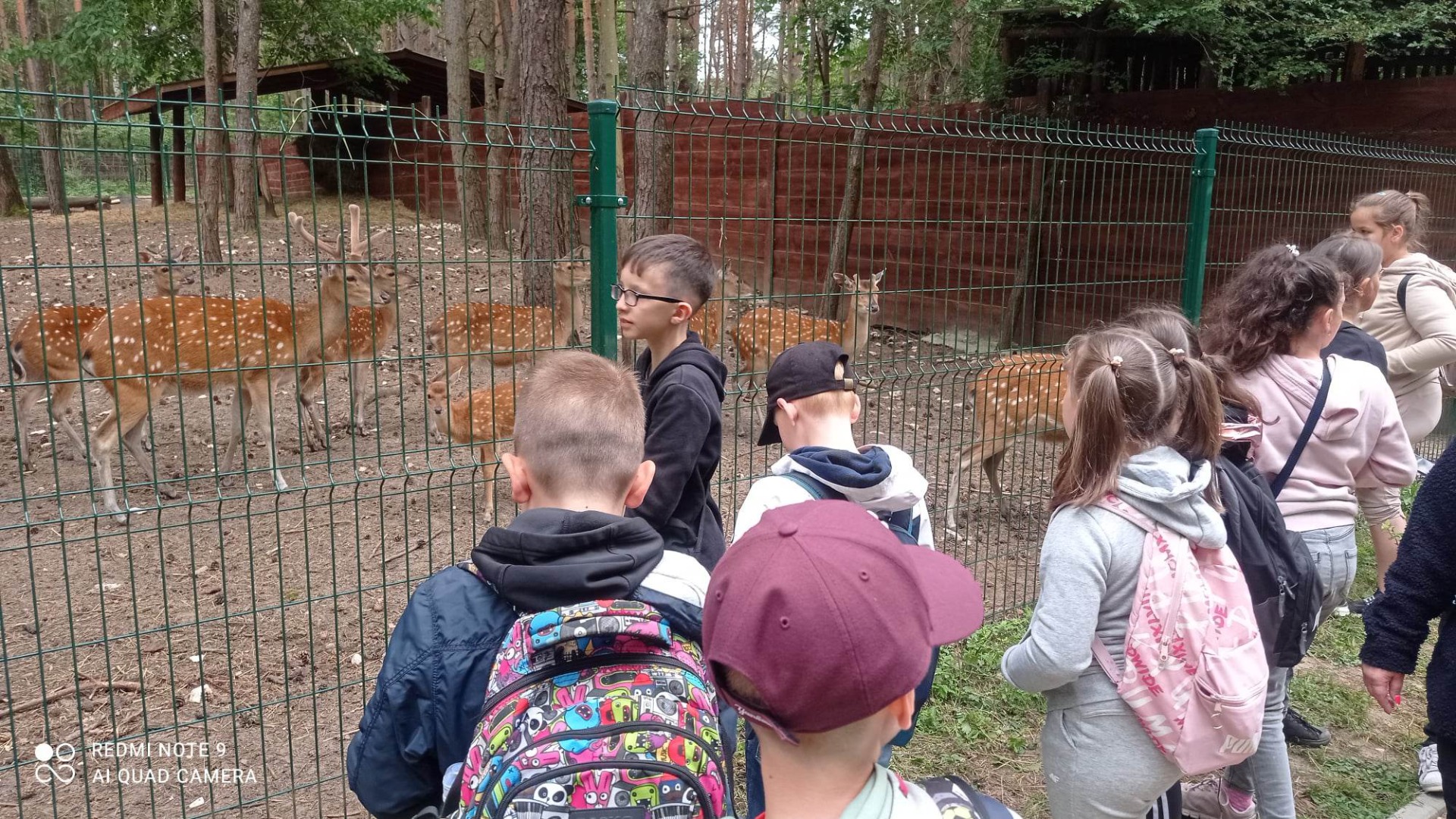 Uczniowie oglądają zwierzęta w mini zoo