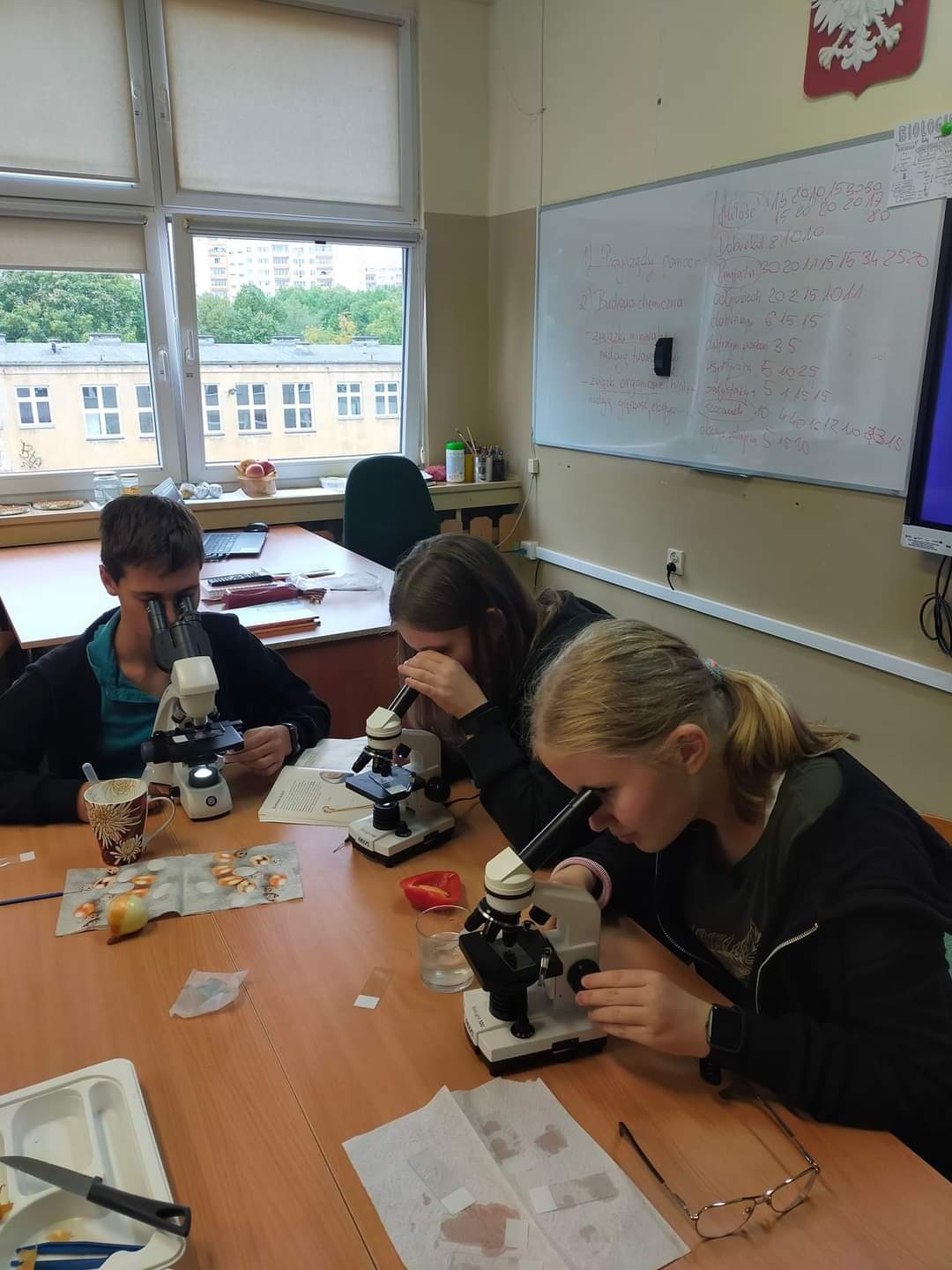 Mikroskop na lekcjach biologii  - Obrazek 1