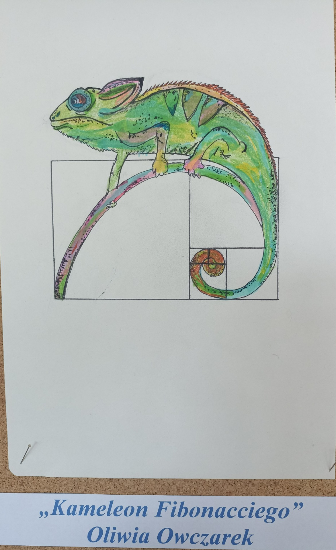 Praca plastyczna "Kameleon Fibonacciego"