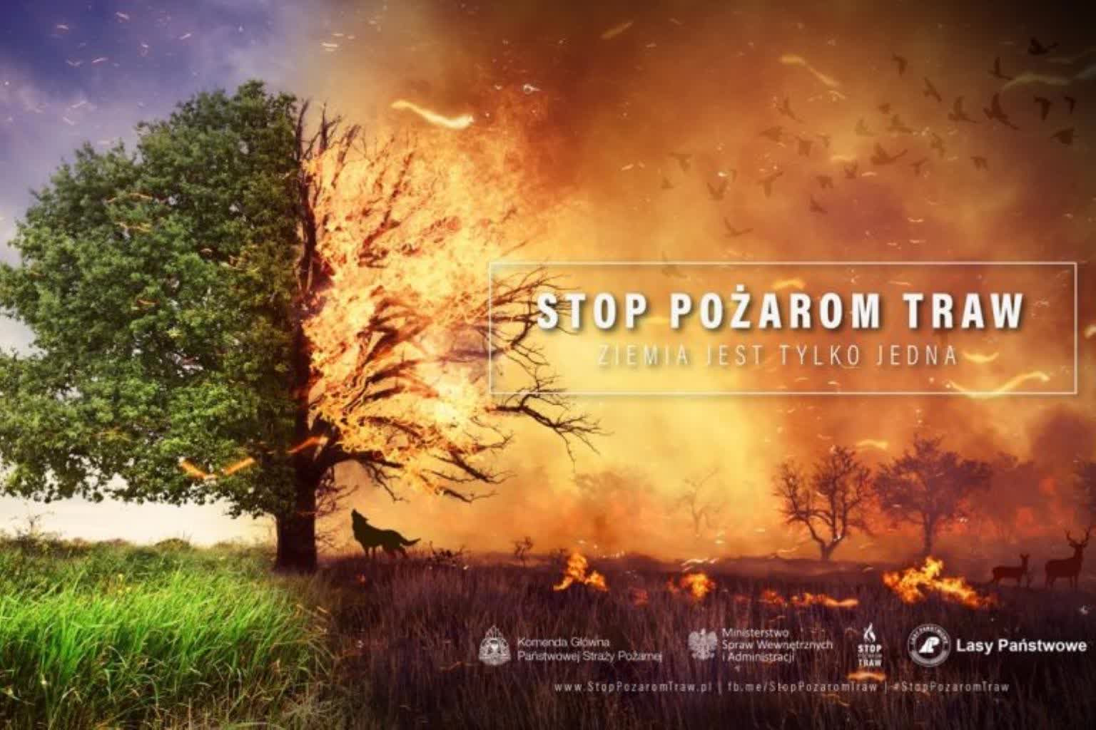 Stop wypalaniu traw  - Obrazek 1