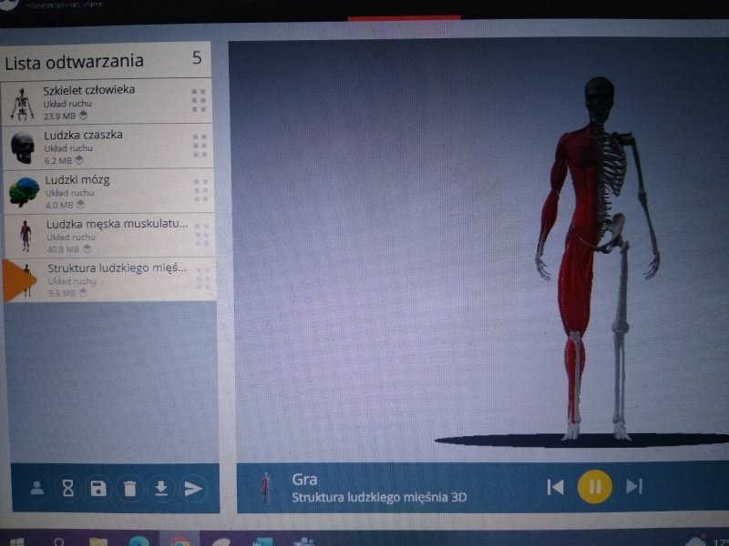 Widok odtwarzanego przez VR układu ruchu (szkielet i mięśnie).